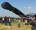 60m octopus kite 2