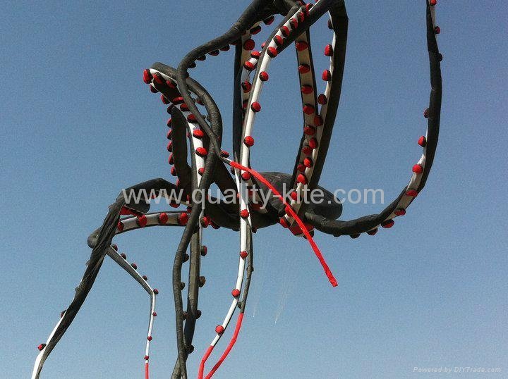 60m octopus kite 3