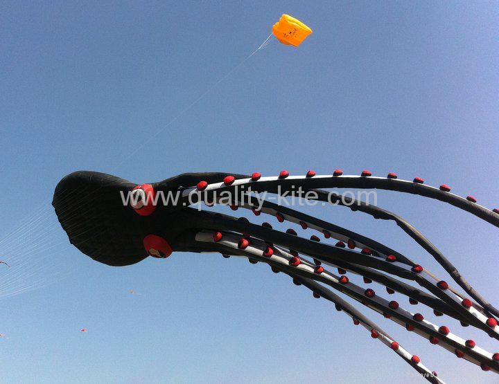 60m octopus kite 4