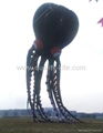 60m octopus kite 5
