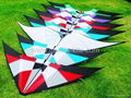 stunt kite