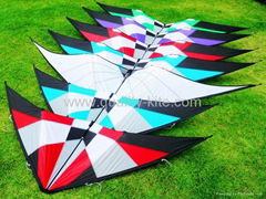 stunt kite 