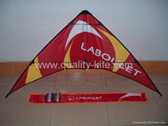 advertising stunt kite 