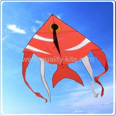 large delta kite 