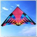 Triangle  kite 1
