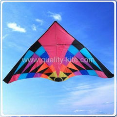 Triangle  kite