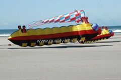 large windsock kite 