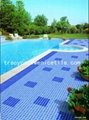 swimming pool ceramic mosaic,penny mosaic 5