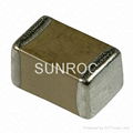 Chip capacitor 1
