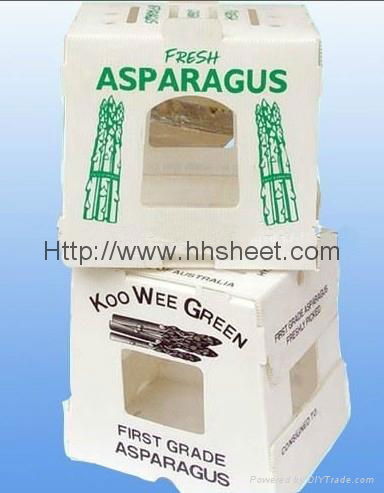 fresh fruit plastic corrugated box