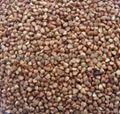 Raw&Roast buckwheat 1