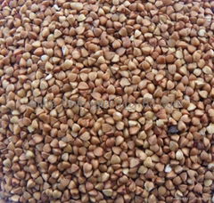 Raw&Roast buckwheat