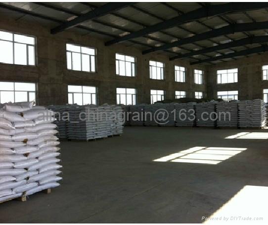 hulled buckwheat kernels  factory 2012 new crop  2