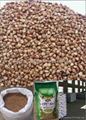 chinese buckwheat kernel factory    2012 1