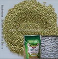 chinese buckwheat kernel factory    2012 3