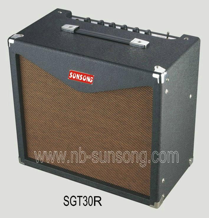 Tube Guitar Amplifier