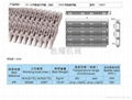 突肋塑料网带 4