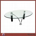 Clear Round Fantastic Acrylic/Perspex Coffee Table 1