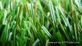 Artificial Turf