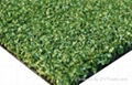 Artificial Turf 1