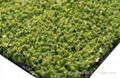 Artificial Turf 1