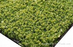 Artificial Turf