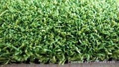 Artificial Turf