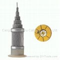 ACSR cable (Aluminum Conductors