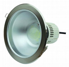 LED Down light