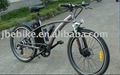 Electric Mountain Bike 2