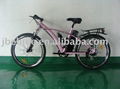 Electric Mountain Bike 3