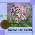 Valerian extract