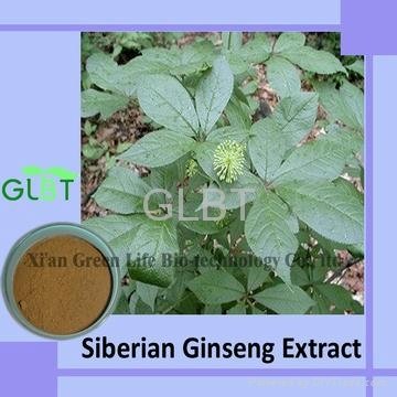Siberian Ginseng Extract 