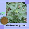 Siberian Ginseng Extract  1