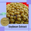 soy extract 1