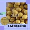 soy extract 2