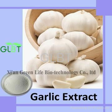 Garlic Extract  