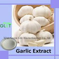 Garlic Extract