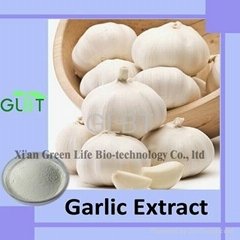 Garlic Extract  