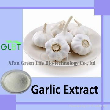 Garlic Extract   3