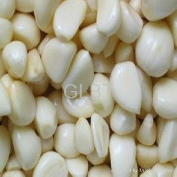 Garlic Extract   4