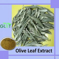 Olive Leaf Extract