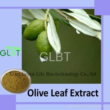 Olive Leaf Extract  2