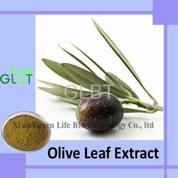 Olive Leaf Extract  4