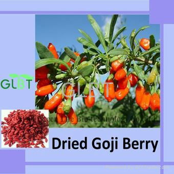 goji extract 2