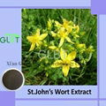 St.John’s Wort Extract 1