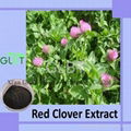 red clover extract 1