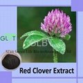 red clover extract 2