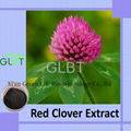 red clover extract 4