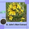 St.John’s Wort Extract 3
